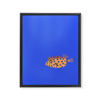 Box Fish Framed Canvas Print Gallery Image 8