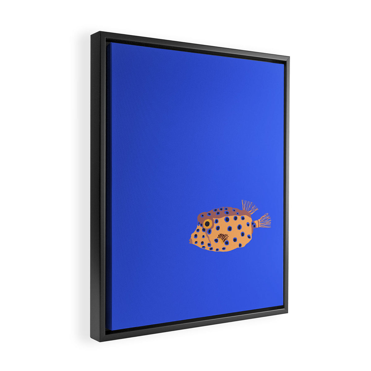 Box Fish Framed Canvas Print Gallery Image 2