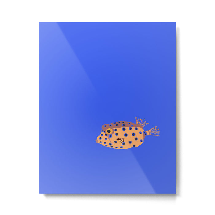 Box Fish Metal Print Gallery Image 1