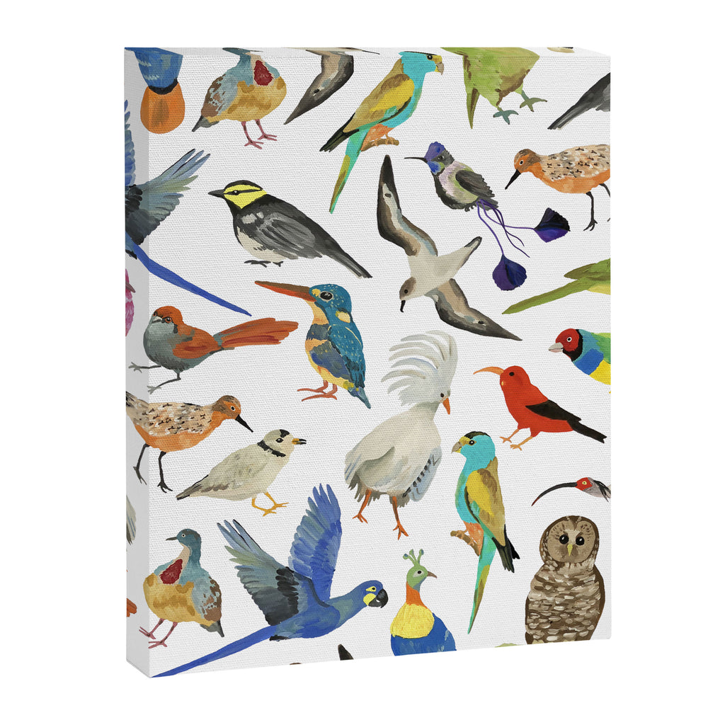 Endangered Birds Around the World Canvas Print Gallery Image 8