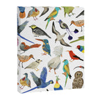 Endangered Birds Around the World Canvas Print Gallery Image 8