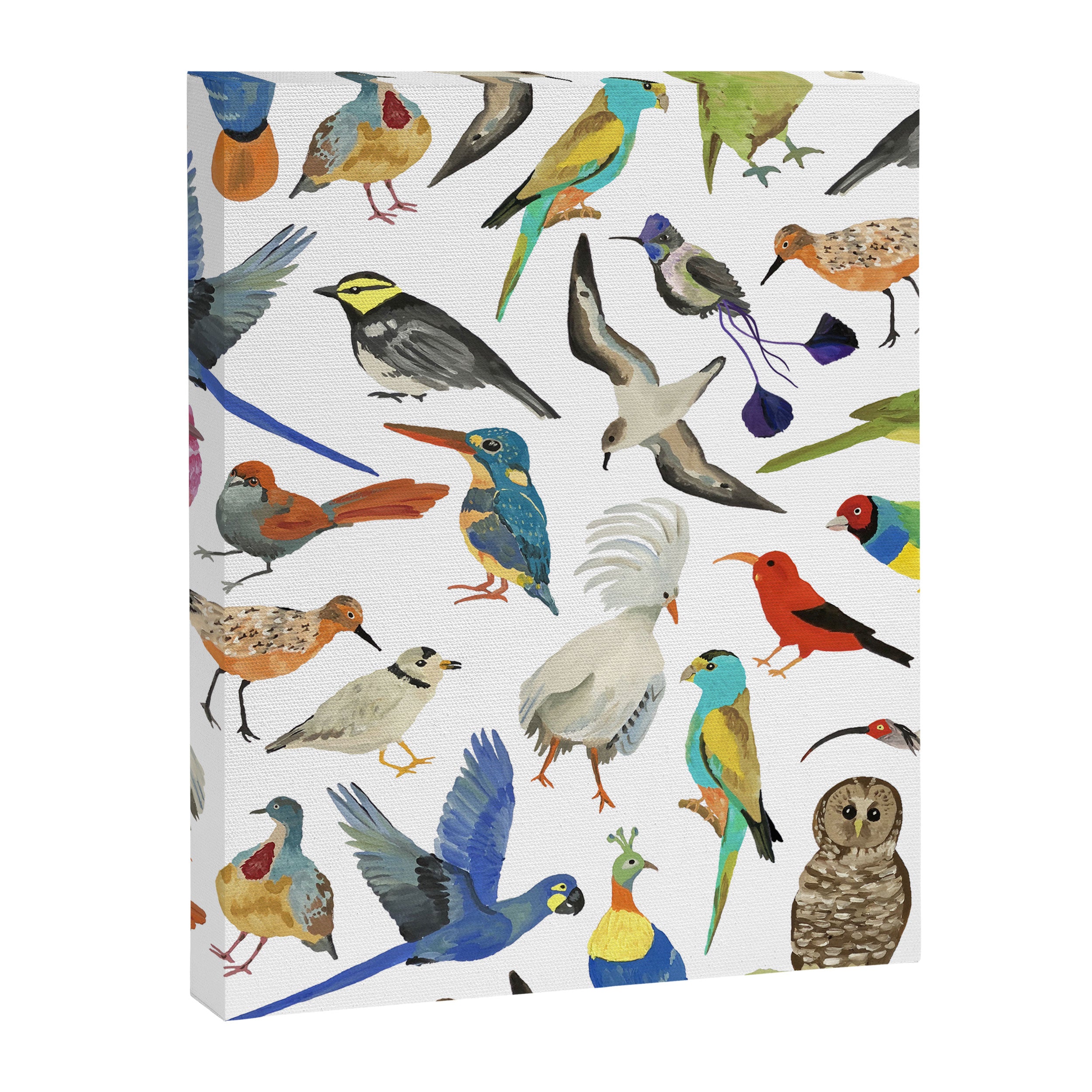 Endangered Birds Around the World Canvas Print Gallery Image 8