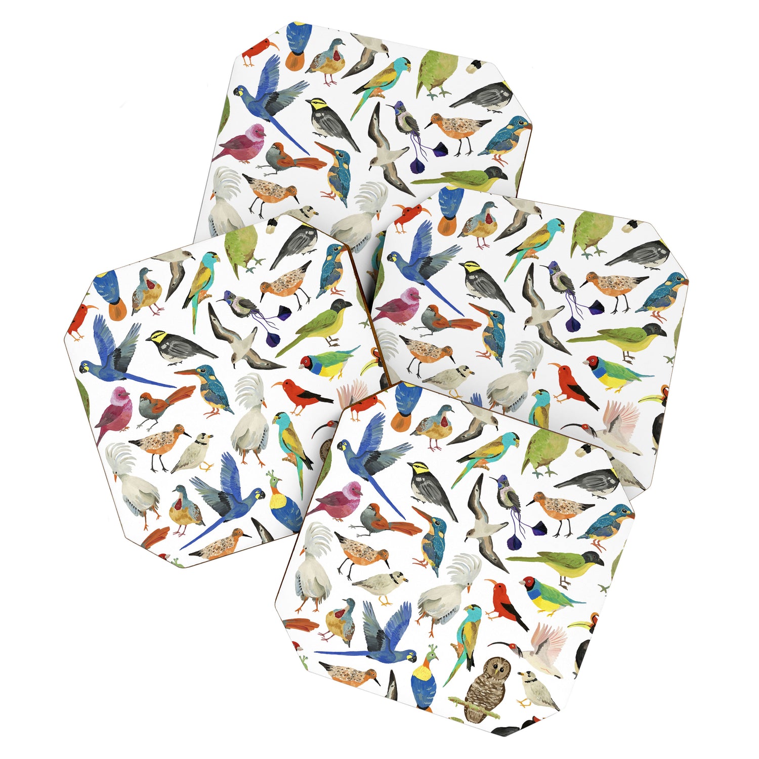 Endangered Birds Around the World Coaster Gallery Image 1