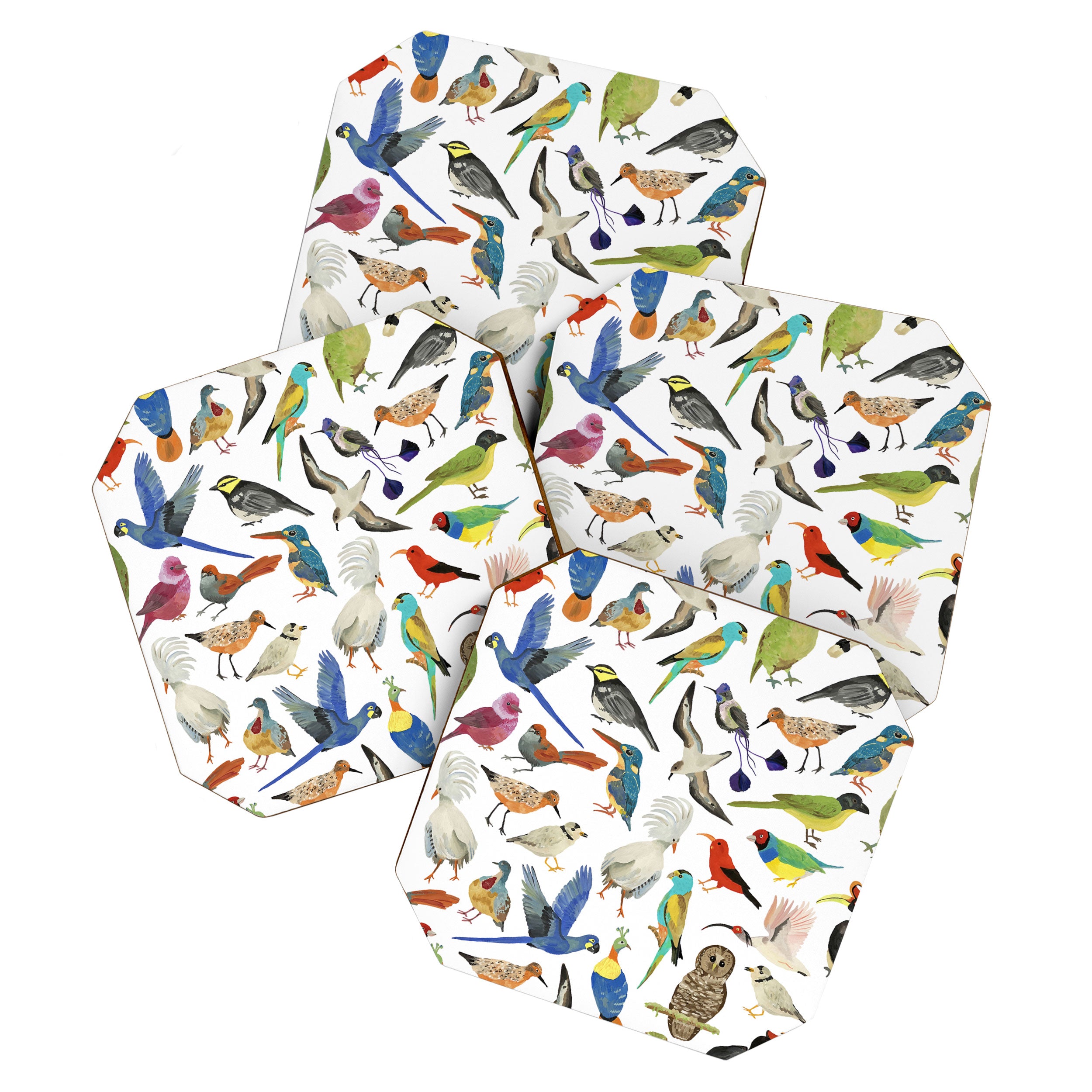 Endangered Birds Around the World Coaster Gallery Image 1