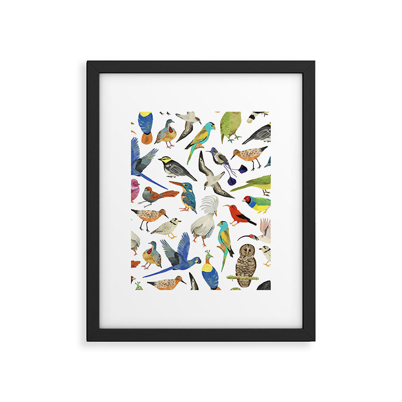 Endangered Birds Around the World Framed Art Print Gallery Image 6