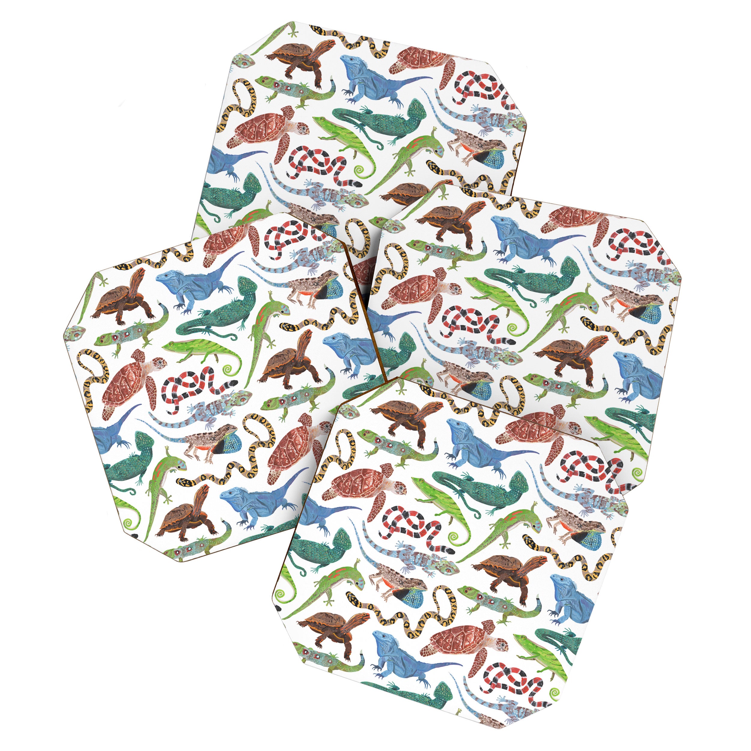 Endangered Reptiles Around the World Coaster Gallery Image 1