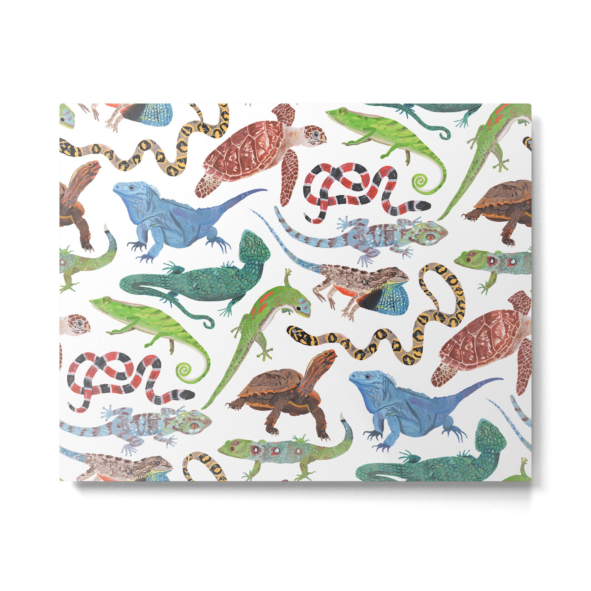 Endangered Reptiles Around the World Metal Print Gallery Image 6