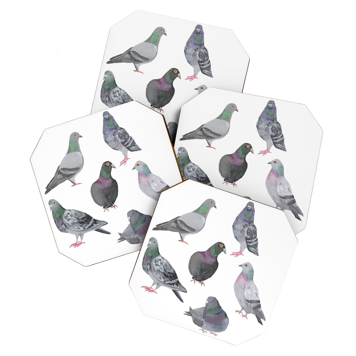 Pigeon Party Coaster Gallery Image 1