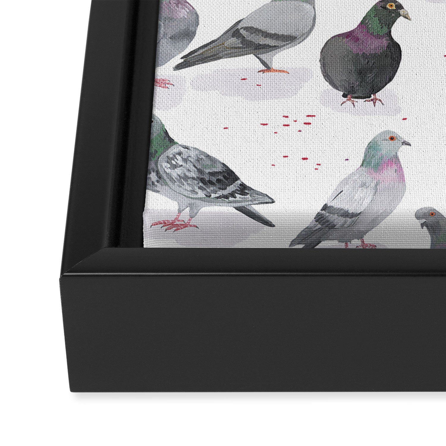Pigeon Party Framed Canvas Print Gallery Image 3