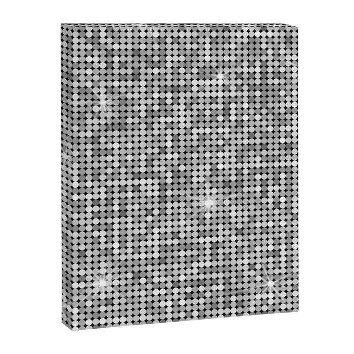 Shiny Disco Ball Silver Canvas Print Gallery Image 1