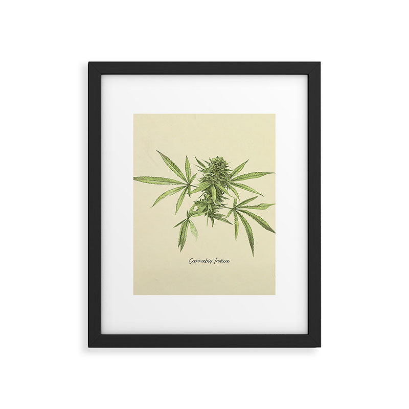 Vintage botanical print - Cannabis Framed Art Print Gallery Image 6