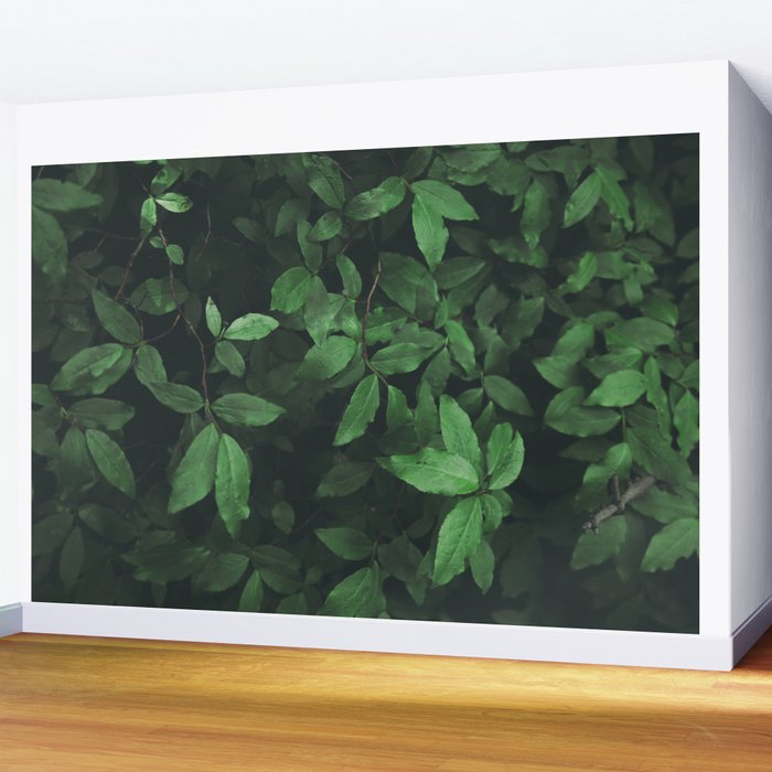 Some Greenery Wall Mural Gallery Image 2