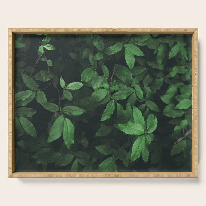 Some Greenery Serving Tray Gallery Image 1