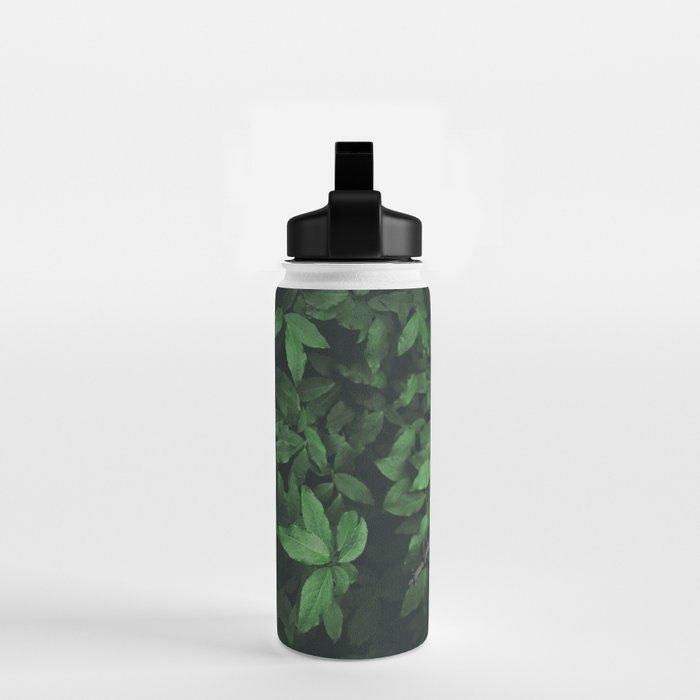Some Greenery Water Bottle Gallery Image 2