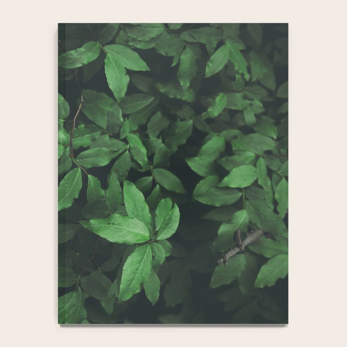 Some Greenery Notebook Gallery Image 4