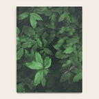 Some Greenery Notebook Gallery Image 4