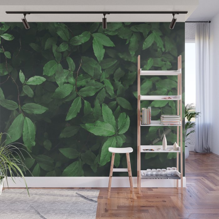 Some Greenery Wall Mural Gallery Image 1