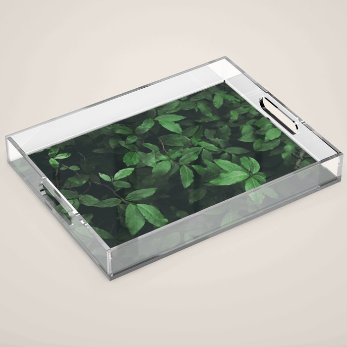 Some Greenery Acrylic Tray Gallery Image 1