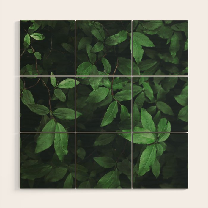 Some Greenery Wood Wall Art Gallery Image 1