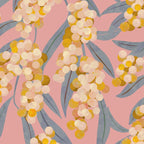  Acacia retinoides plant Coffee Mug Gallery Image 2