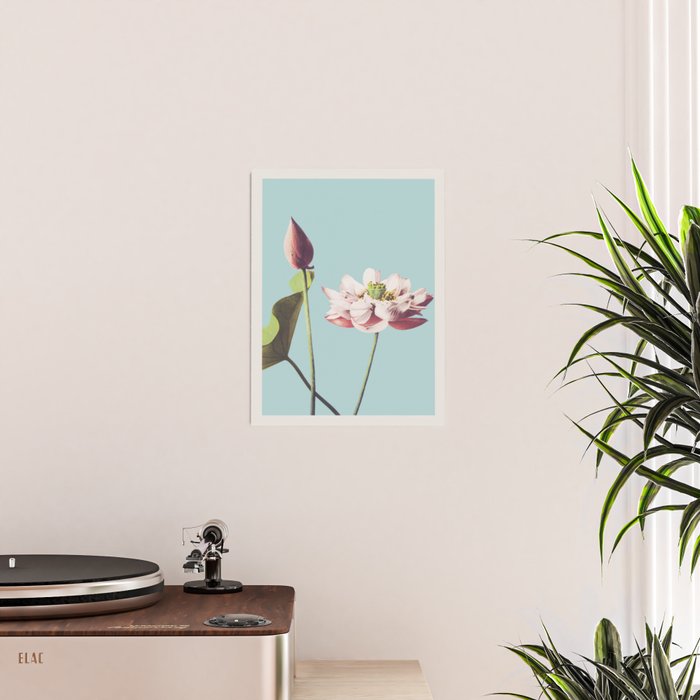 Lotus Flower Ogawa Kazumasa Japanese Floral Vintage Botanical Meiji Retro Bohemian Interior Design Poster Gallery Image 2