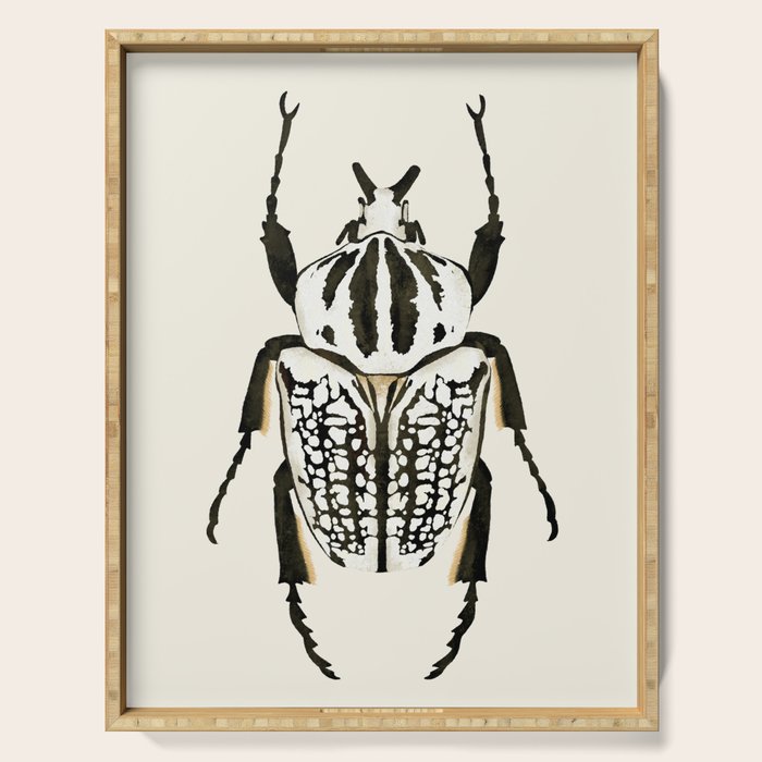  beetle insect Serving Tray Gallery Image 1