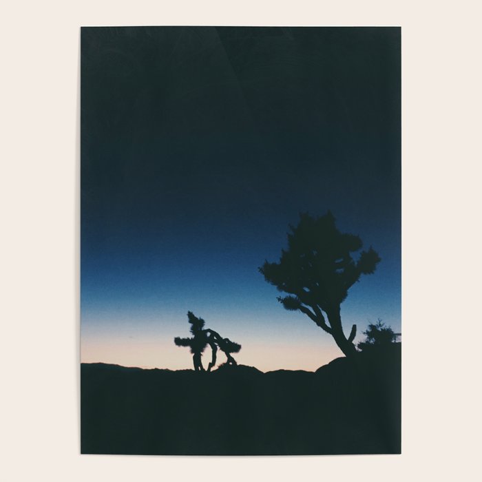 JOSHUA  TREE IV Poster Gallery Image 4