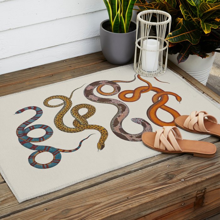 Albertus SEBA four snake scales  Outdoor Rug Gallery Image 2