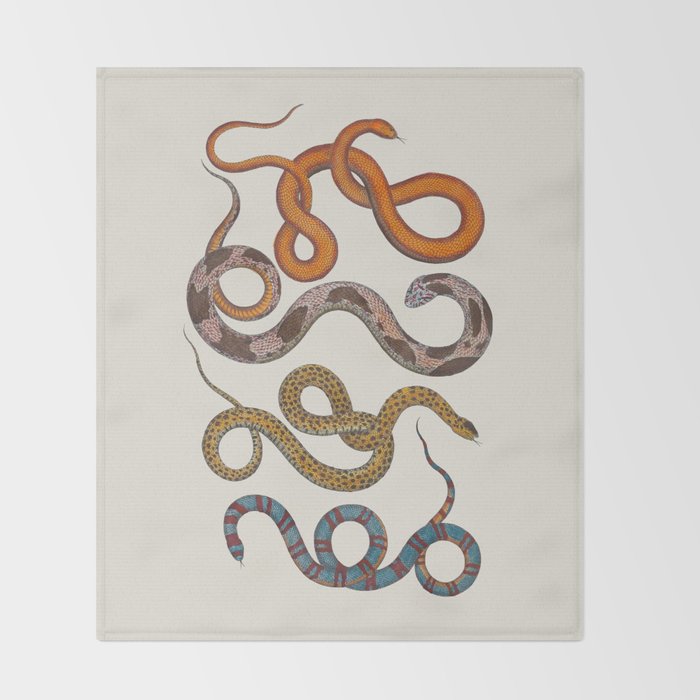 Albertus SEBA four snake scales  Throw Blanket Gallery Image 2