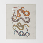 Albertus SEBA four snake scales  Throw Blanket Gallery Image 2