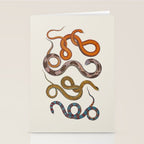 Albertus SEBA four snake scales  Stationery Card Gallery Image 2