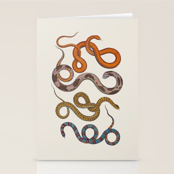 Albertus SEBA four snake scales  Stationery Card Gallery Image 2