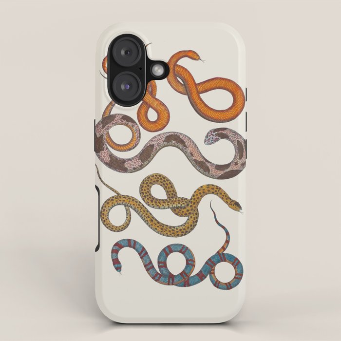 Albertus SEBA four snake scales  iPhone Case Gallery Image 1