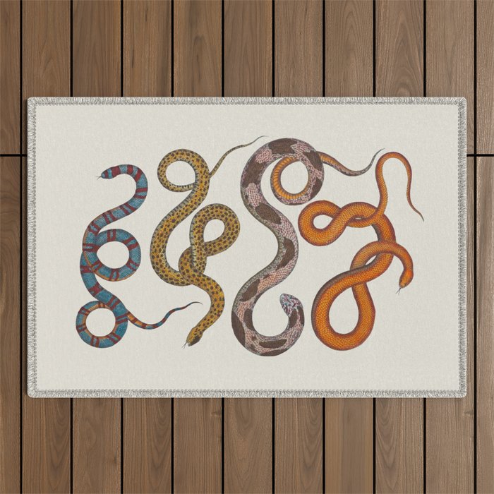 Albertus SEBA four snake scales  Outdoor Rug Gallery Image 1
