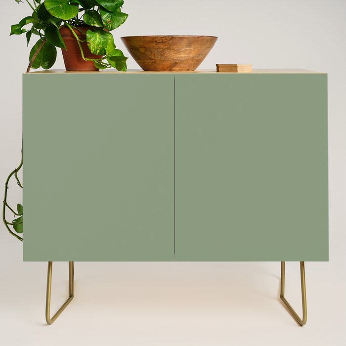 LAUREL TREE SOLID COLOR Plain Muted Green Shade Credenza Gallery Image 1