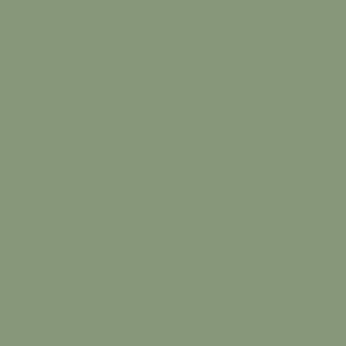 LAUREL TREE SOLID COLOR Plain Muted Green Shade Coffee Mug Gallery Image 2