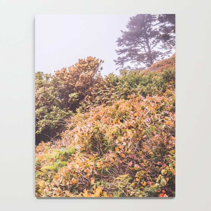 Lighthouse in the Fog | Heceta Head Oregon | Travel Photography in the PNW Notebook Gallery Image 4