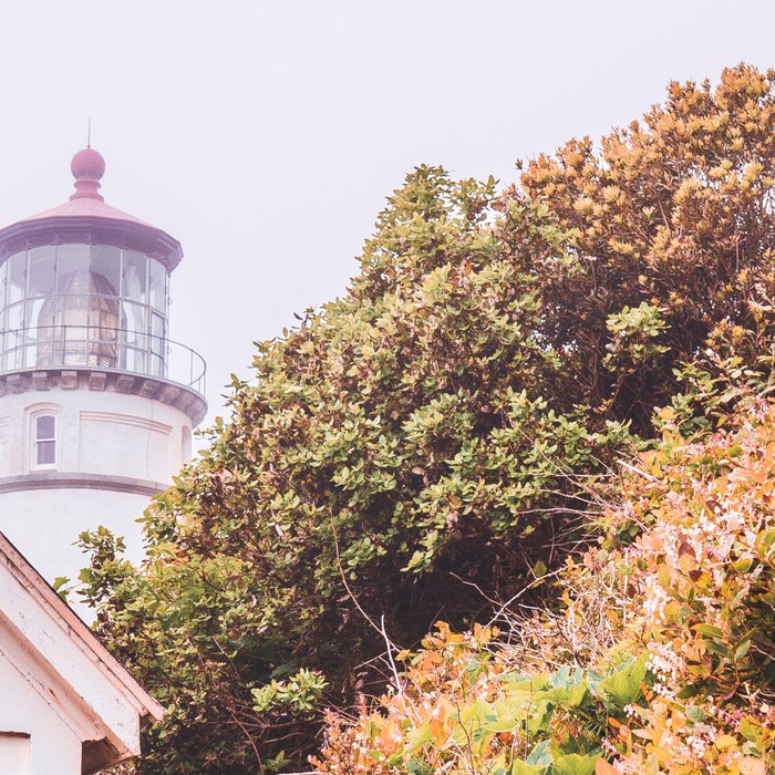 Lighthouse in the Fog | Heceta Head Oregon | Travel Photography in the PNW Coffee Mug Gallery Image 2