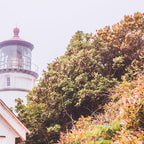 Lighthouse in the Fog | Heceta Head Oregon | Travel Photography in the PNW Coffee Mug Gallery Image 2
