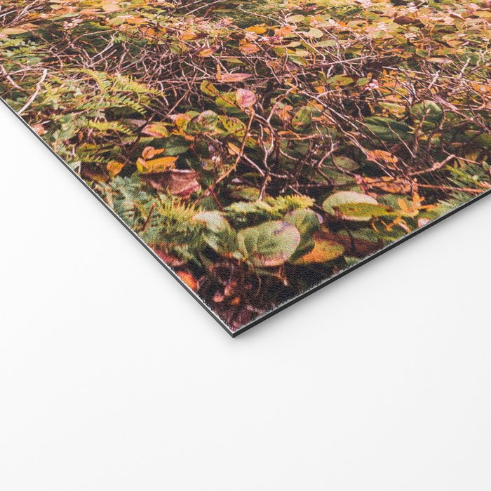 Lighthouse in the Fog | Heceta Head Oregon | Travel Photography in the PNW Welcome Mat Gallery Image 2