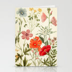 Wildflowers from "Rocky Mountain Flowers" (1914) by Edith Clements (benefitting The Nature Conservancy) Stationery Card Gallery Image 2