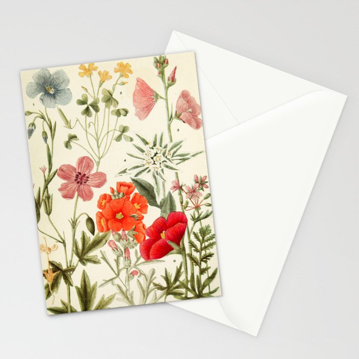 Wildflowers from "Rocky Mountain Flowers" (1914) by Edith Clements (benefitting The Nature Conservancy) Stationery Card Gallery Image 2