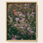 Eucephalus Ledophyllus Serving Tray Gallery Image 1