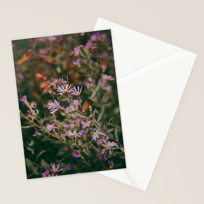 Eucephalus Ledophyllus Stationery Card Gallery Image 2