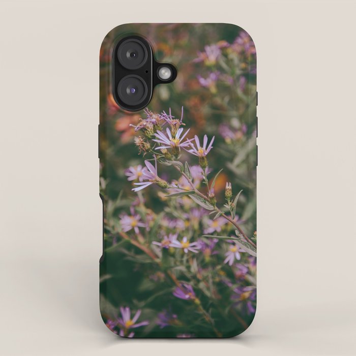 Eucephalus Ledophyllus iPhone Case Gallery Image 1