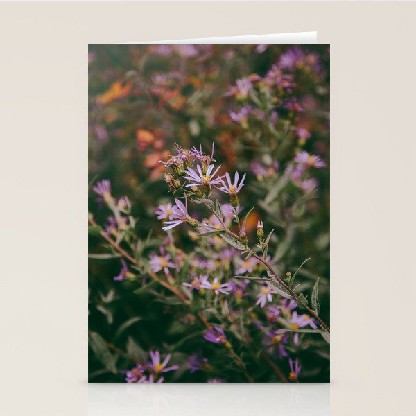 Eucephalus Ledophyllus Stationery Card Gallery Image 1