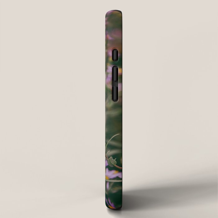 Eucephalus Ledophyllus iPhone Case Gallery Image 2