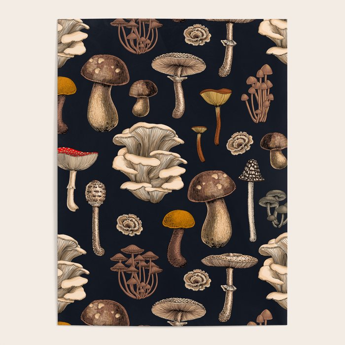 Wild Mushrooms  on graphite black Poster Gallery Image 4