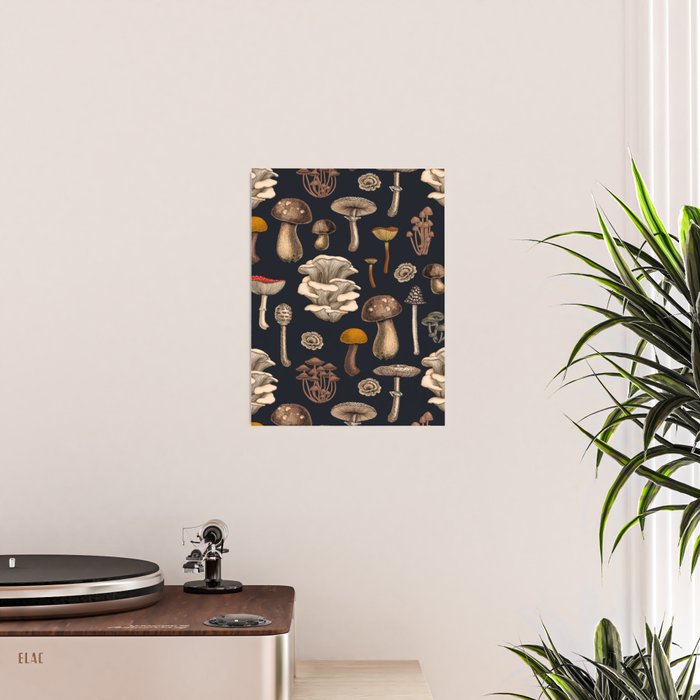 Wild Mushrooms  on graphite black Poster Gallery Image 2