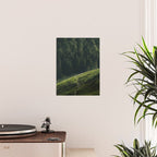 Sheep Trail in a Forest during a calm morning Poster Gallery Image 2